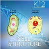 Biology Cell Structure