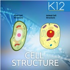 Biology Cell Structure