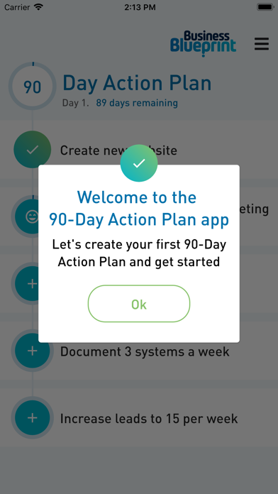 90 Day Action Plan screenshot 2