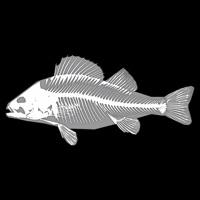 3D Fish Anatomy apk