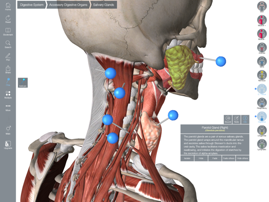 Essential Anatomy 5 screenshot