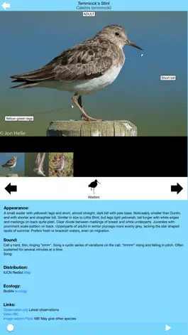 Game screenshot BirdID Nord University hack
