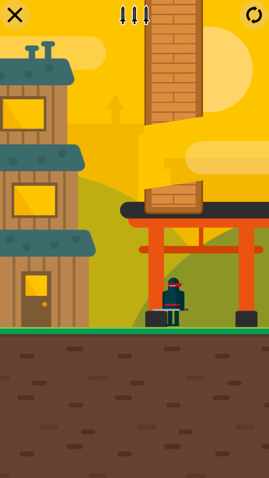Image of Mr Ninja - Sword Puzzles