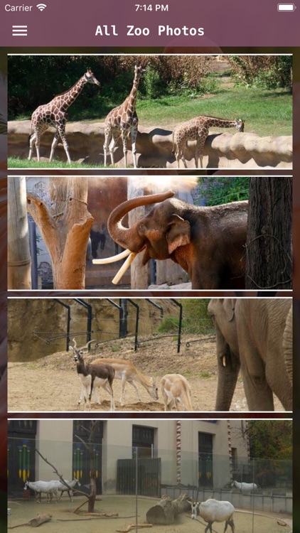 Kerala Zoo Places screenshot-4