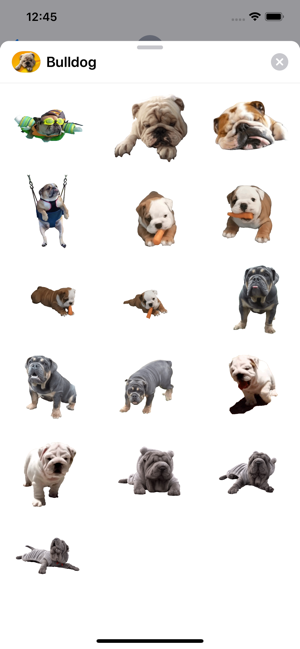 Bulldog Sticker(圖1)-速報App