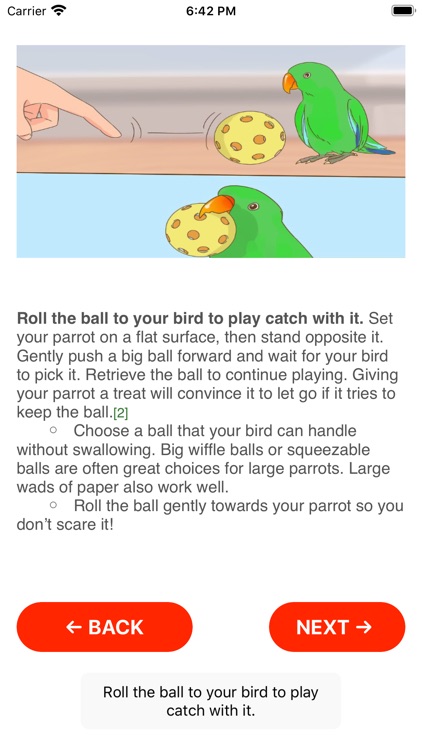 Training-Parrot-Training