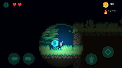 Magic Forest : 2D Platformer screenshot 4