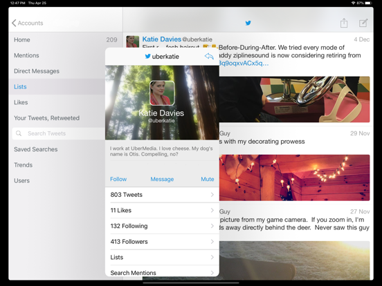 Echofon Pro for Twitter iPad app afbeelding 4