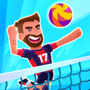Volleyball Challenge 2019