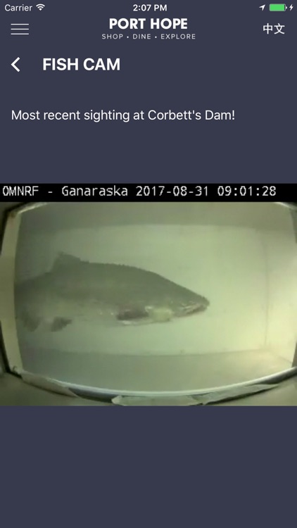 Port Hope screenshot-3