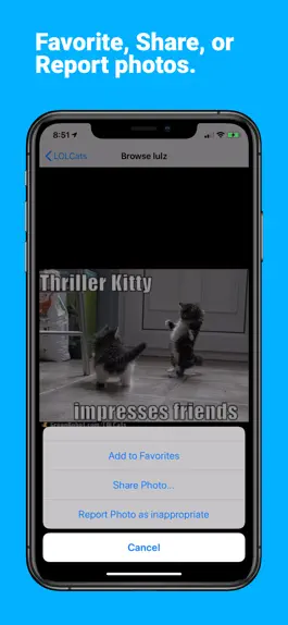 Game screenshot LOLCats - Funny Cat Pics hack