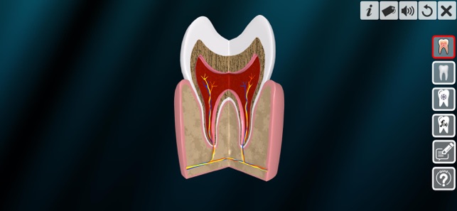 Incredible Human Teeth(圖3)-速報App