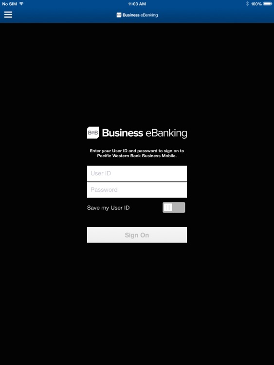 Business e-Banking for iPad