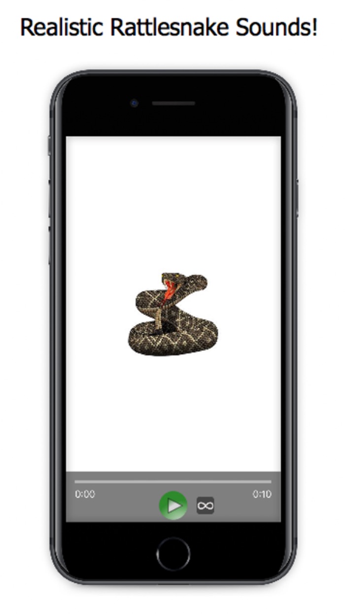 Rattlesnake Sounds and Effects