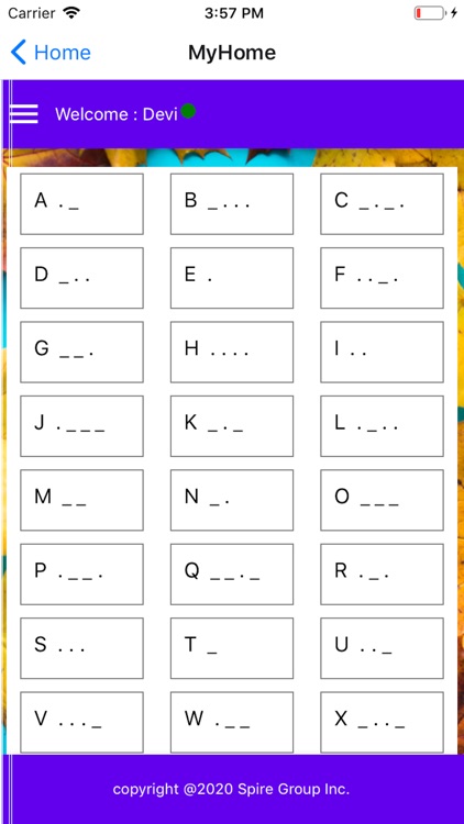Tat-Mee screenshot-6
