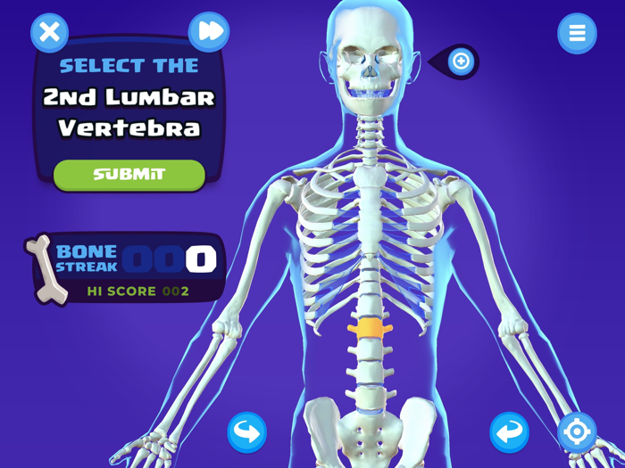 U.S. Army STARS Anatomy