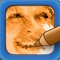 Please note: this LITE version adds watermarks to you creations unless you unlock with an in app purchase