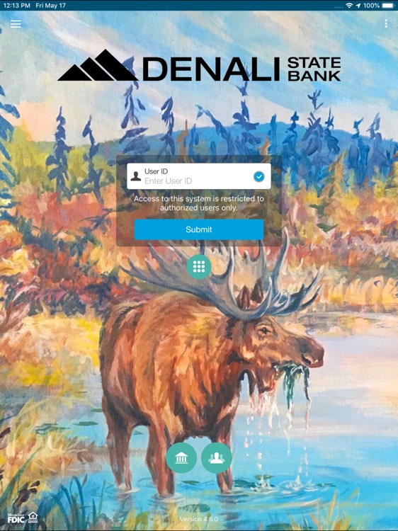 Denali State Bank App for iPad