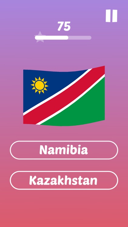 Quick, Flags! screenshot-4