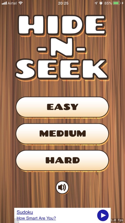 Hide n Seek Puzzle