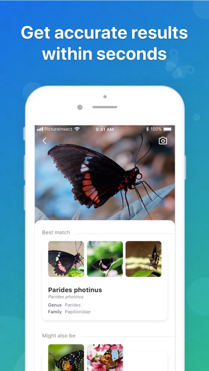 Picture Insect - Insect Id Pro