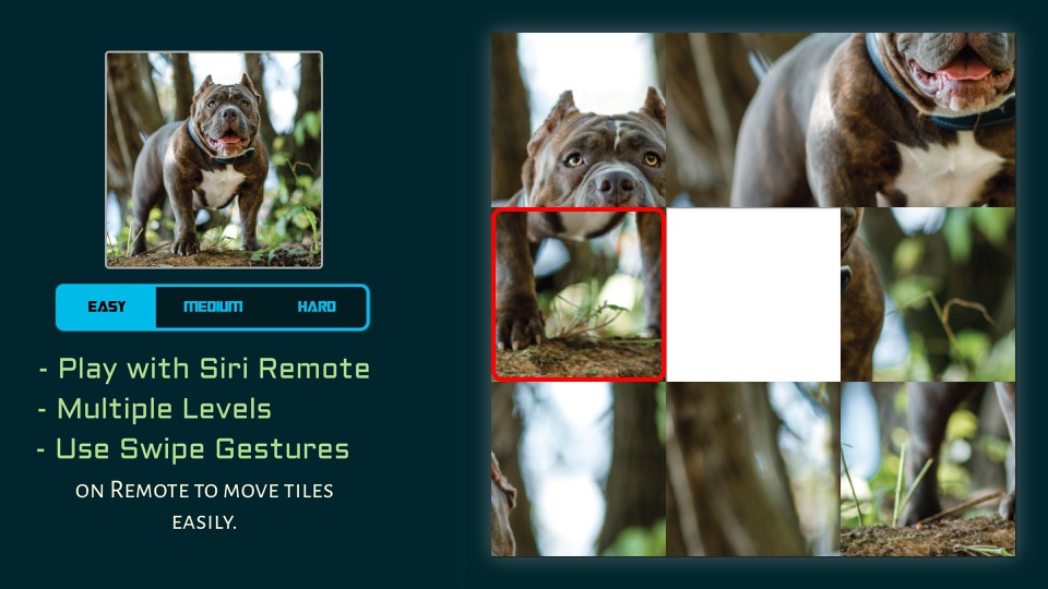 Screenshot #1 for Puzzle Night on TV
