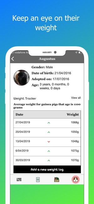 My Guinea Pigs(圖7)-速報App