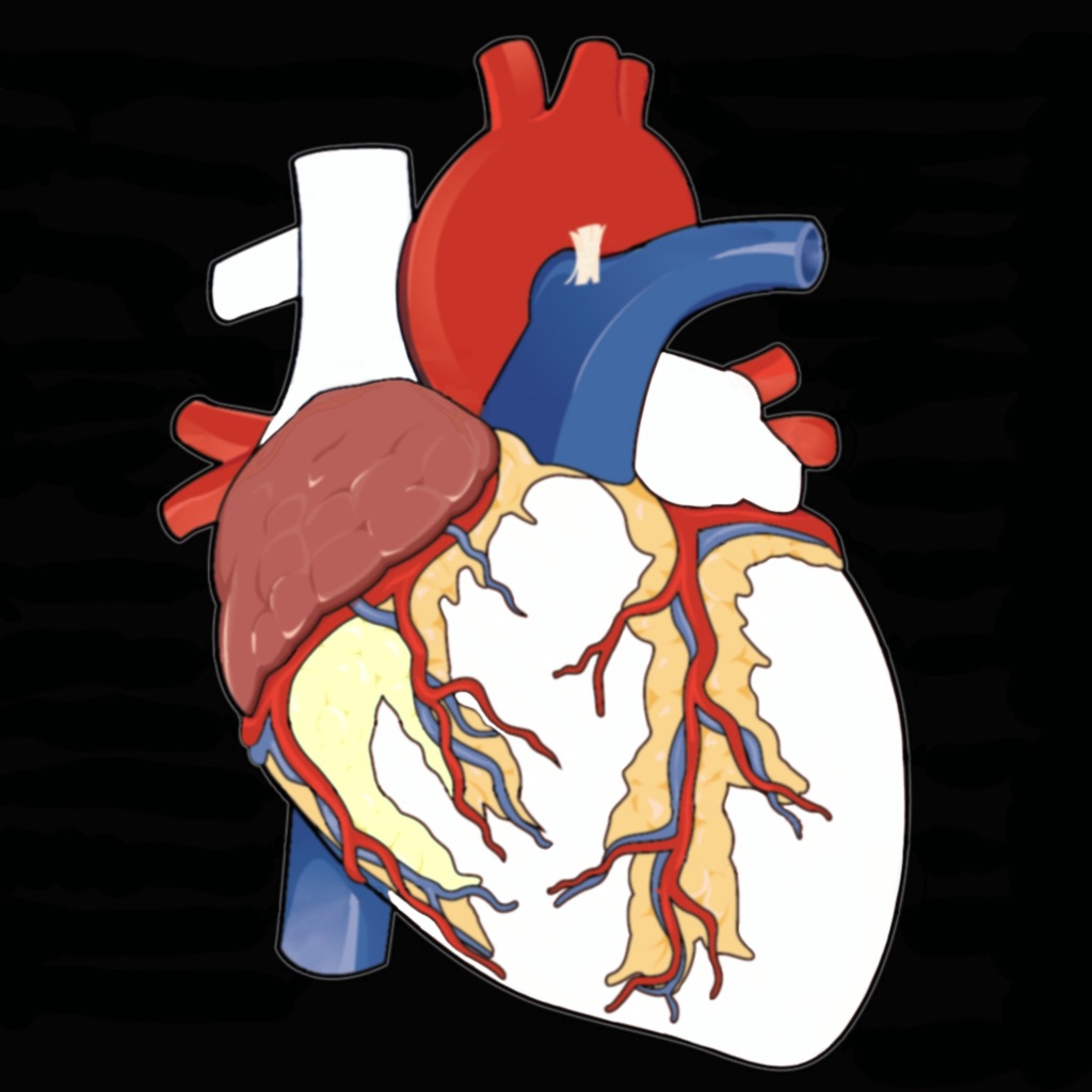 Anatomy Puzzles Hack Online (Puzzle Pack 1 - Human Anatomy; Puzzle Pack
