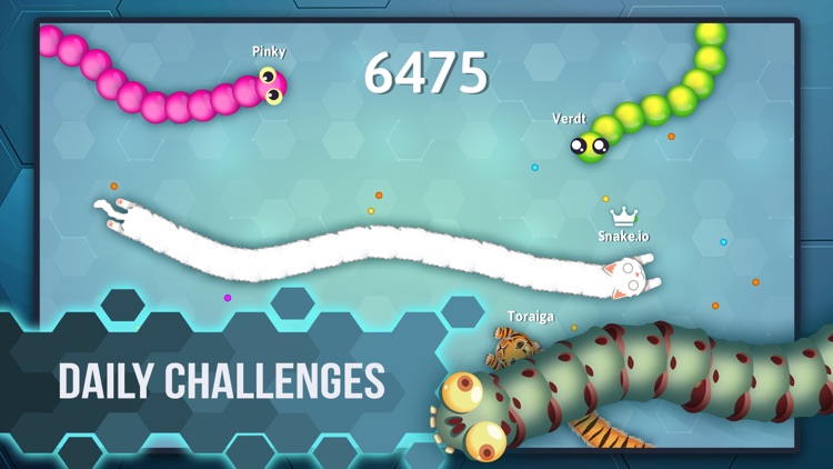 Snake.io - Fun Online Slither