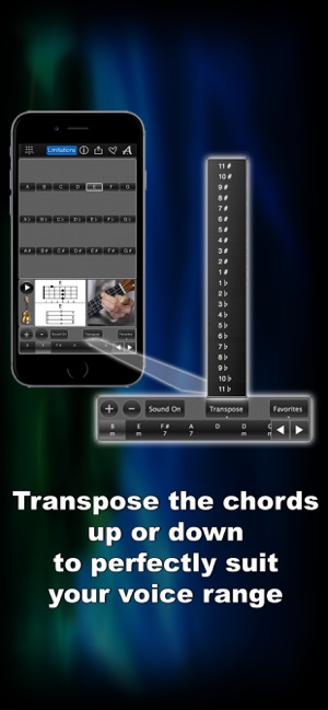 Ukulele Chords Lite LR(圖3)-速報App