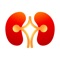 Stone MD – this is the first application for patients with kidney stones encompassing the most important aspects of this disease