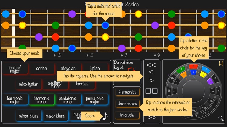 Bass Guitar Colour Scales screenshot-5