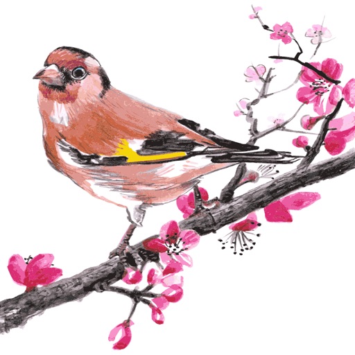 Watercolor Birds Art Stickers