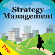 MBA Strategy Pro