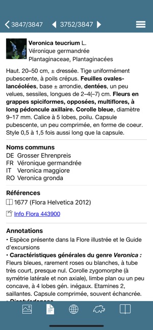 Flora Helvetica Pro français(圖4)-速報App