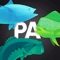 Know Where, When & What the fish are biting on from local pro's Each & Every week