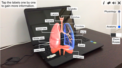 AR Respiratory system physiolo screenshot 2