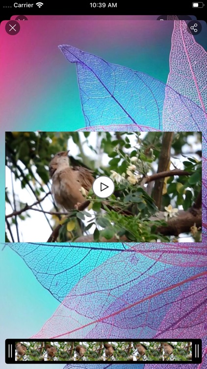 Reverse Show screenshot-3