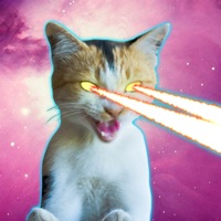 Laser Cats Animated apk