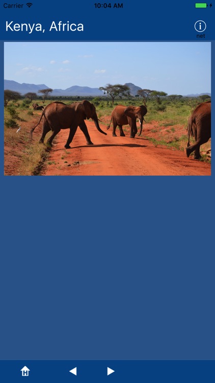 Kenya, Africa screenshot-3