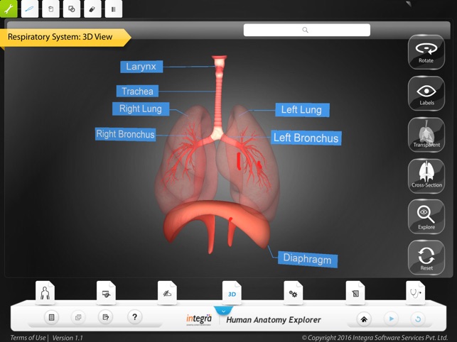 Human Anatomy Explorer(圖3)-速報App