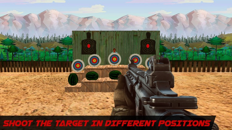 Target Shooting King Game