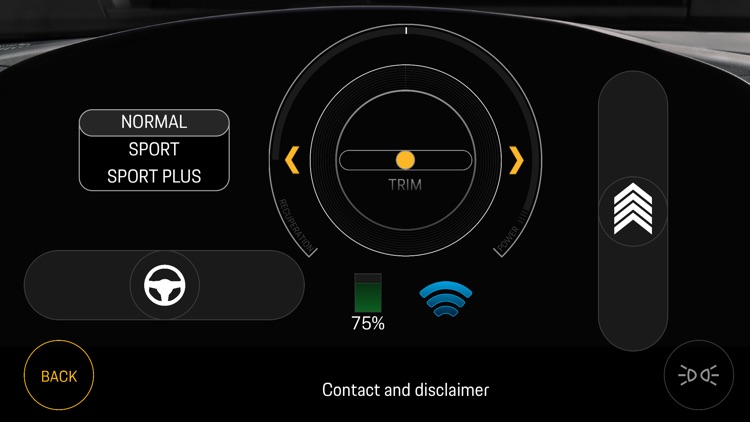 Taycan RC Car screenshot-8