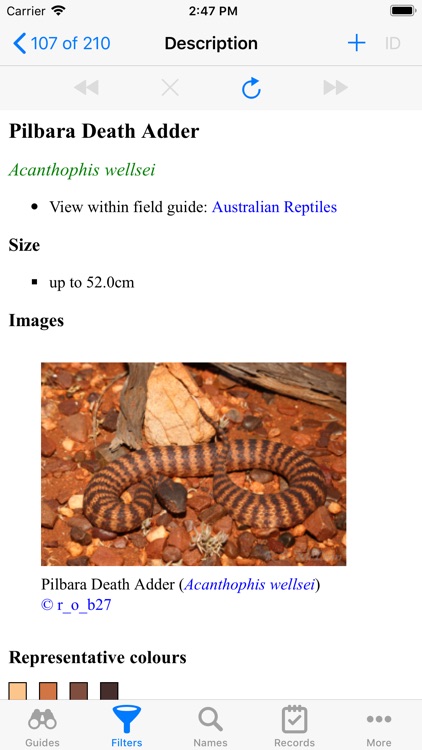 Australian Reptiles and Frogs screenshot-4