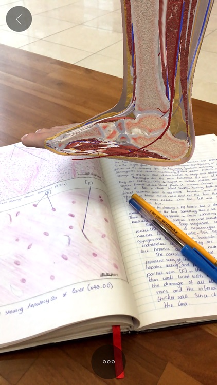 Complete Anatomy 19 for iPhone screenshot-5