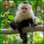 猴子模拟器野生动物动物