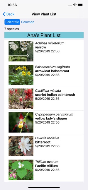 Alberta Wildflowers(圖7)-速報App