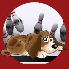 Activities of Dog bowling for kids
