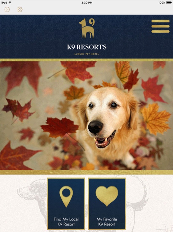 K9 Resorts Luxury Pet Hotel HD