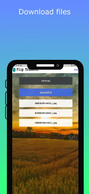 Flip Transfer(圖1)-速報App